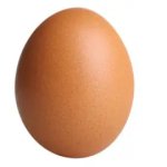 Trans egg template