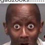 Gadzooks meme