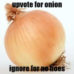 Onion | upvote for onion; ignore for no hoes | image tagged in onion | made w/ Imgflip meme maker