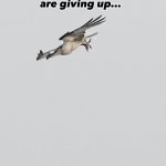 Perseverance | image tagged in gifs,perseverance | made w/ Imgflip video-to-gif maker