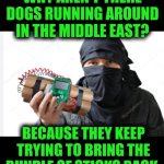 Funny | WHY AREN'T THERE DOGS RUNNING AROUND IN THE MIDDLE EAST? BECAUSE THEY KEEP TRYING TO BRING THE BUNDLE OF STICKS BACK. | image tagged in funny,dogs,dog,middle east,golden retriever,bomb | made w/ Imgflip meme maker