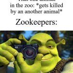 Zookeepers are like the police seeing everything ngl | That one animal in the zoo: *gets killed by an another animal*; Zookeepers: | image tagged in memes,funny,zoo,animals,animal crossing,oh wow are you actually reading these tags | made w/ Imgflip meme maker