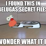 Empty Room | I FOUND THIS IN BELUGAS SECRET FILES; I WONDER WHAT IT IS... | image tagged in empty room | made w/ Imgflip meme maker