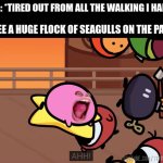 Kirbo Is Me | MY LEGS: *TIRED OUT FROM ALL THE WALKING I HAD TO DO*; THEN I SEE A HUGE FLOCK OF SEAGULLS ON THE PAVEMENT: | image tagged in free,terminalmontage,kirby,birds,funny,habits | made w/ Imgflip meme maker