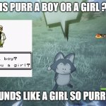 is purr a boy or a girl | IS PURR A BOY OR A GIRL ? PURR SOUNDS LIKE A GIRL SO PURR IS A GIRL | image tagged in purr,dragon ball z,boys vs girls,anime,cats,professor oak | made w/ Imgflip meme maker