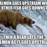 Say this next time someone says to be like a salmon | A SALMON GOES UPSTREAM WHILE EVERY OTHER FISH GOES DOWNSTREAM; THEN A BEAR EATS THE SALMON AS IT GOES UPSTREAM | image tagged in bear catching salmon,salmon,upstream,downstream,bear,bear eating salmon | made w/ Imgflip meme maker