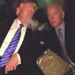 Trump, Biden, and Weed meme