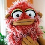 ברקוני template