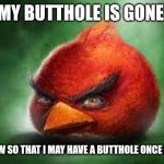 Realistic Red Angry Birds | MY BUTTHOLE IS GONE; FOLLOW SO THAT I MAY HAVE A BUTTHOLE ONCE AGAIN | image tagged in realistic red angry birds | made w/ Imgflip meme maker