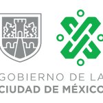 Logo CDMX DeFe DESgobierno de mierda de Chenban verde