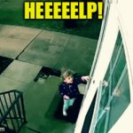 Hang in there | HEEEEELP! | image tagged in gifs,fun,funny meme,windy | made w/ Imgflip video-to-gif maker