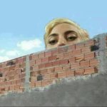 Lady Gaga behind a brick wall