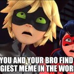 Oh no it's Cringe | WHEN YOU AND YOUR BRO FIND THE CRINGIEST MEME IN THE WORLD | image tagged in miraculous memebug | made w/ Imgflip meme maker