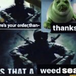 Weed seal meme