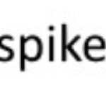 What a railroad spike might taste like