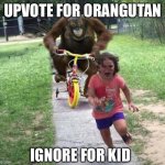 orangutan chasing kid on tricycle | UPVOTE FOR ORANGUTAN; IGNORE FOR KID | image tagged in orangutan chasing kid on tricycle | made w/ Imgflip meme maker