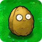 Pvz Wall-nut