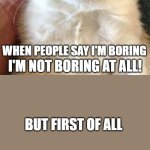 True fact. My sister and friend say I'm boring! '_' | THIS IS ME... WHEN PEOPLE SAY I'M BORING; I'M NOT BORING AT ALL! BUT FIRST OF ALL; I'M NOT A RAT | image tagged in memes,grumpy cat,ratatouille,funny,fun,funny memes | made w/ Imgflip meme maker