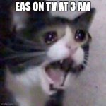 SHUT UUUUUUPpPPPPP | EAS ON TV AT 3 AM | image tagged in screaming cat meme | made w/ Imgflip meme maker