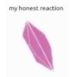 my honest reaction Spin meme