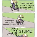 This is a lesson to never learn | Just learned to ride a bicycle holding a stick; Thinking it's cool to put it in between tires; YOU; STUPID! You do not do that!!! | image tagged in memes,bike fall,life lessons,funny | made w/ Imgflip meme maker
