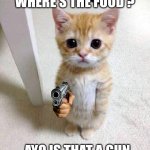 Meow meow bitch | WHERE'S THE FOOD ? AYO IS THAT A GUN | image tagged in memes,cute cat | made w/ Imgflip meme maker