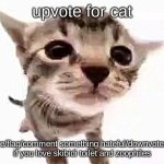 katt | upvote for cat; ignore/flag/comment something hateful/downvote/view if you love skibidi toilet and zoophiles | image tagged in katt,memes,funny,cats,upvotes,upvote | made w/ Imgflip meme maker