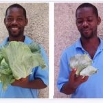 Cabbage Man