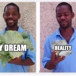 Cabbage Man | MY DREAM; REALITY | image tagged in cabbage man | made w/ Imgflip meme maker