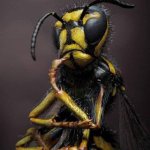 NatGeoCaption