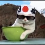 Japanese Cat GIF Template