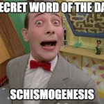 Schismogenesis | SECRET WORD OF THE DAY; SCHISMOGENESIS | image tagged in peewee herman secret word of the day | made w/ Imgflip meme maker