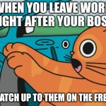 Catching up with your boss | WHEN YOU LEAVE WORK RIGHT AFTER YOUR BOSS; AND CATCH UP TO THEM ON THE FREEWAY. | image tagged in cat iz driving | made w/ Imgflip meme maker
