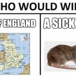 Who Would Win? | ALL OF ENGLAND; A SICK RAT | image tagged in memes,who would win | made w/ Imgflip meme maker