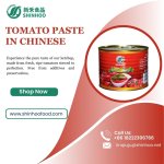 Tomato Paste in Chinese