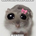 Cute Rat With a bow | CAN I JOIN YOUR GROUP; PLEASEEE.. | image tagged in cute rat with a bow | made w/ Imgflip meme maker