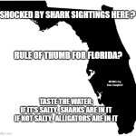 Florida | SHOCKED BY SHARK SIGHTINGS HERE ? RULE OF THUMB FOR FLORIDA? MEMEs by Dan Campbell; TASTE THE WATER;
IF IT'S SALTY,  SHARKS ARE IN IT
IF NOT SALTY,  ALLIGATORS ARE IN IT | image tagged in florida | made w/ Imgflip meme maker