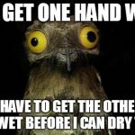 Wierd stuff I do potoo | IF I GET ONE HAND WET I HAVE TO GET THE OTHER ONE WET BEFORE I CAN DRY THEM | image tagged in wierd stuff i do potoo | made w/ Imgflip meme maker