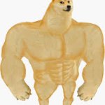 buff doge