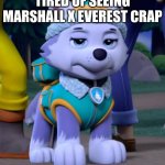 Angry Everest | EVEREST GETTING TIRED OF SEEING MARSHALL X EVEREST CRAP | image tagged in bad day everest paw patrol | made w/ Imgflip meme maker