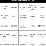 Ace's autistic bingo meme