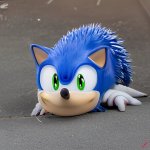 Stupid Fucking Degenerate Sonic