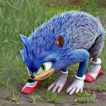 Badass Fucking Degenerate Sonic