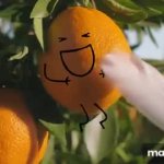 Tangerine Tickle GIF Template