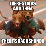 Dachshunds running | THERE’S DOGS 
AND THEN; THERE’S DACHSHUNDS | image tagged in dachshunds running | made w/ Imgflip meme maker