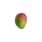 Mango Of Life