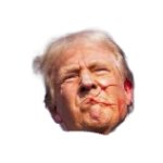 Funny trump