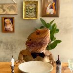 Distinguished lizard