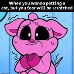 Anyone afraid of getting scratched by a cat? I do. | When you wanna petting a cat, but you fear will be scratched | image tagged in funny,cats,petting,scratch | made w/ Imgflip meme maker