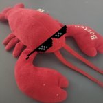 Lobster plushie | COOL LOBSTER; BOTTOM TEXT | image tagged in lobster plushie | made w/ Imgflip meme maker